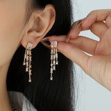 Zircon Tassel Dangle Earrings