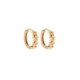 Ravishing Hoop Earring Collection