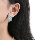 Zircon Tassel Earrings