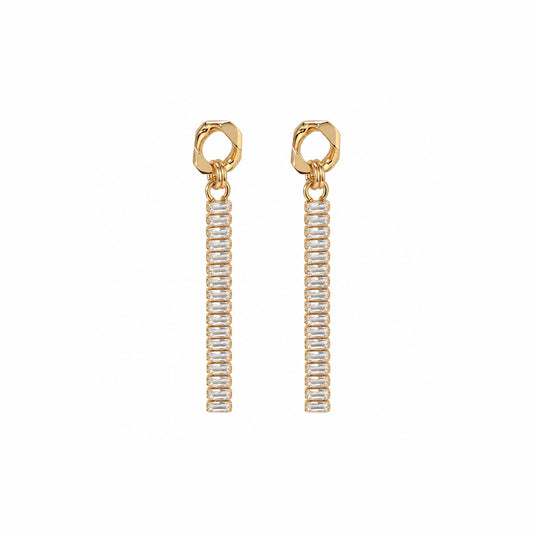 Shine Party Zircon Earring